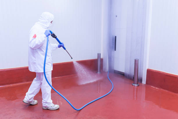Professional Pressure Washing Services in Rouse, CA